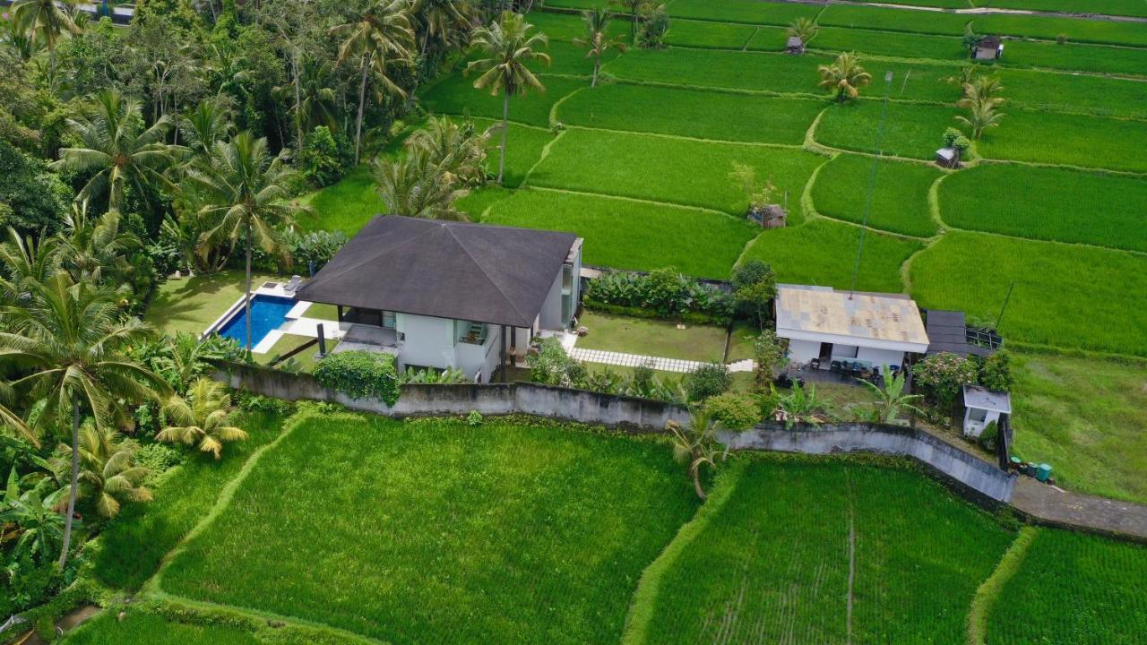 Villa K Ubud Exteriör bild